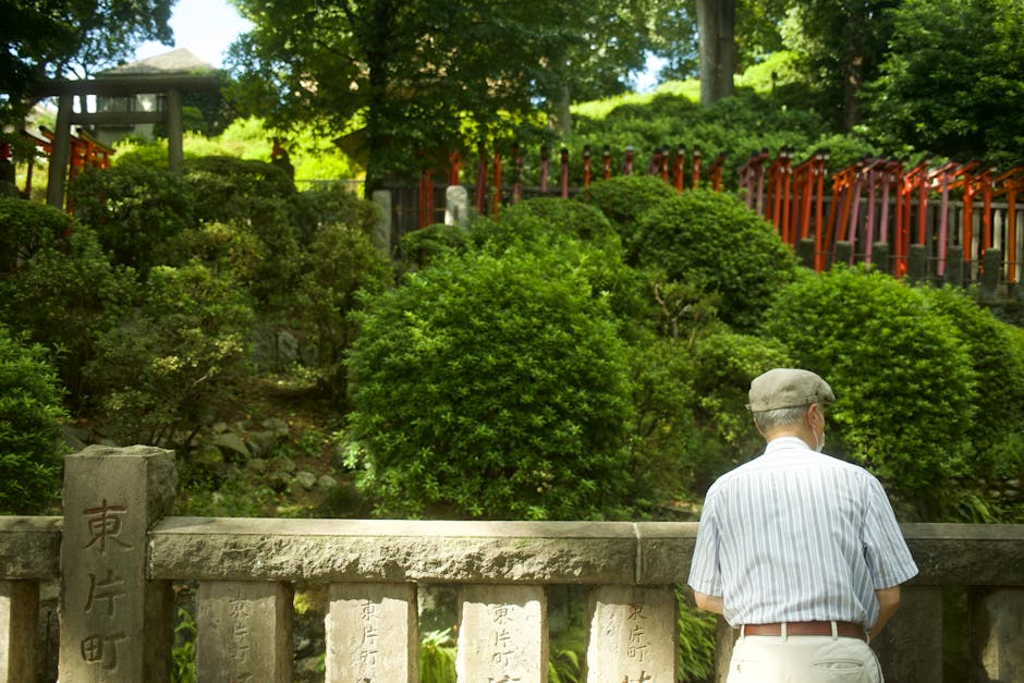 介護老人保健施設で向いてる人の特徴｜老健に合う人材を職種別・他施設比較で徹底解説 | 介護老人保健施設 向いてる人 イメージ